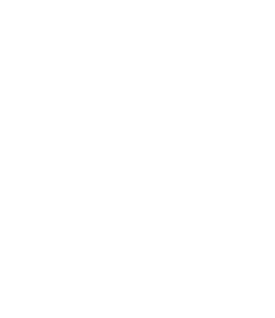 便利屋で庭の手入れを大分県で頼む際の選び方と失敗しないポイント解説